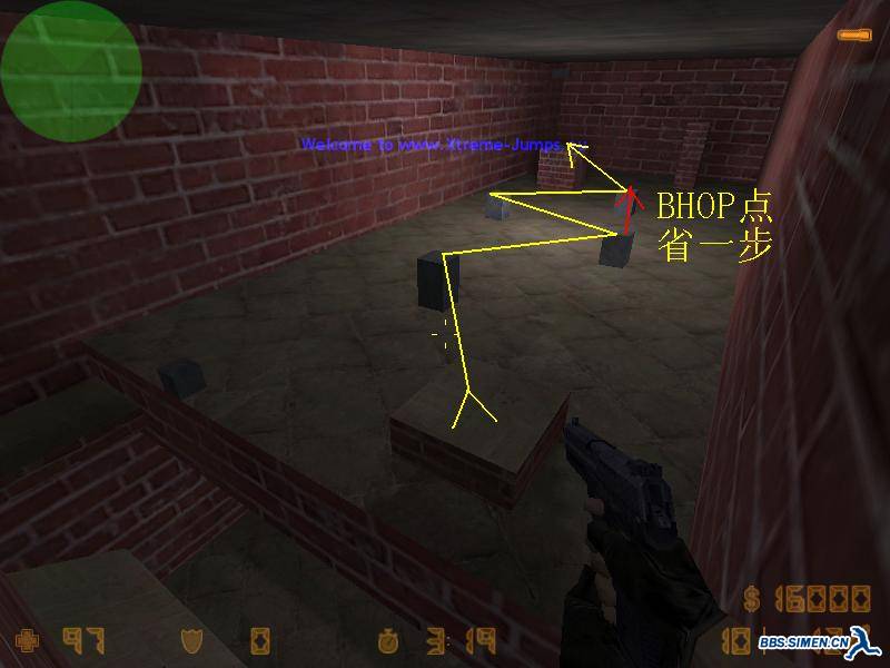 kzsca_burrow0009.JPG