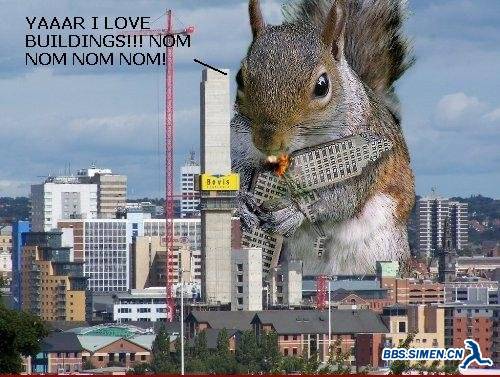 killer_squirrel__17593.jpg