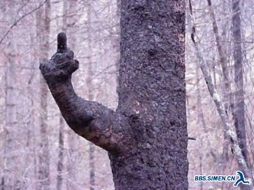 10-Middle-Finger-Sightings-in-World-Around-You-004.jpg