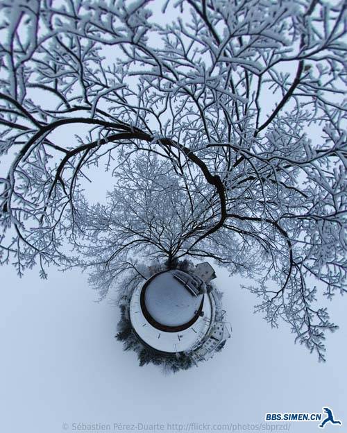 winter tree polar panorama.jpg