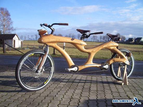 Eco-friendly Tandem Pushbike.jpg