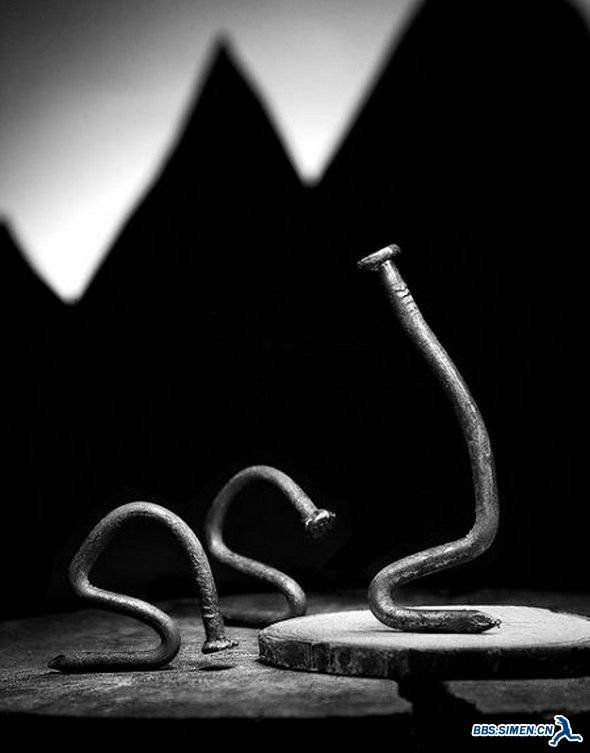 life-of-a-nail-28.jpg