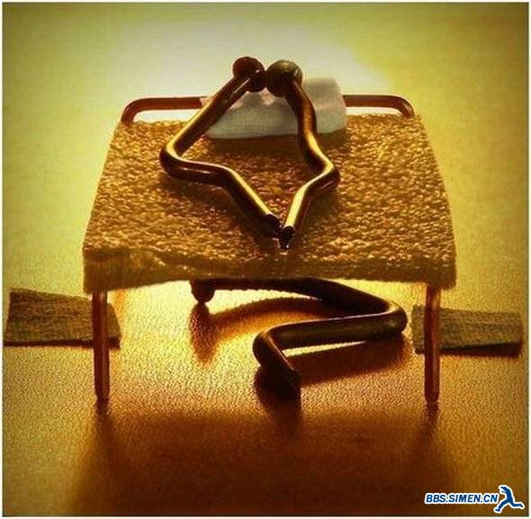 life-of-a-nail-37.jpg