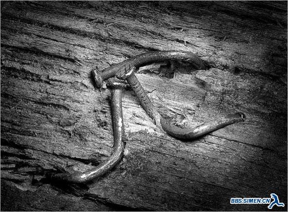 life-of-a-nail-18.jpg