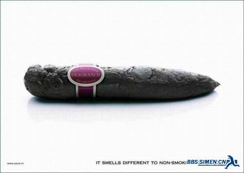 Best-anti-smoking-posters-036.jpg